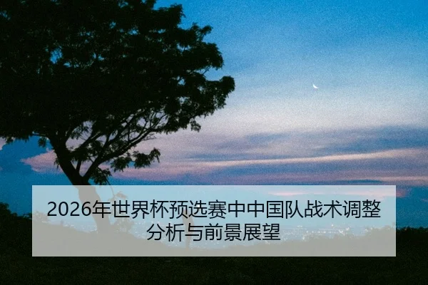 nian-shi-jie-bei-yu-xuan-sai-zhong-zhong-guo-dui-zhan-shu-tiao-zheng-fen-xi-yu-qian-jing-zhan-wang-2-424.jpg