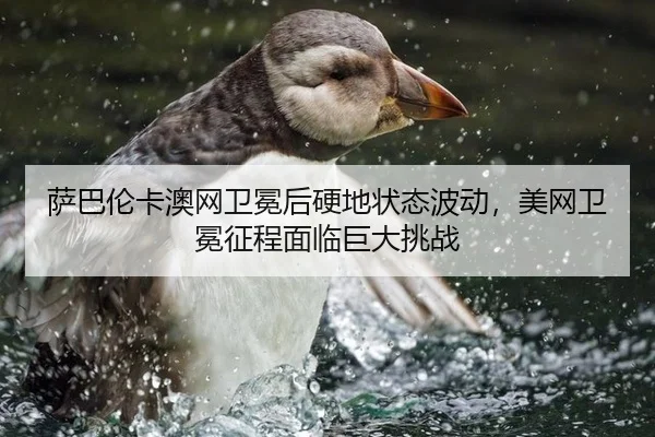 sa-ba-lun-ka-ao-wang-wei-mian-hou-ying-di-zhuang-tai-bo-dong-mei-wang-wei-mian-zheng-cheng-mian-lin-ju-da-tiao-zhan-3-130.jpg