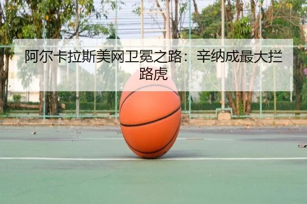 a-er-ka-la-si-mei-wang-wei-mian-zhi-lu-xin-na-cheng-zui-da-lan-lu-hu-2-137.jpg